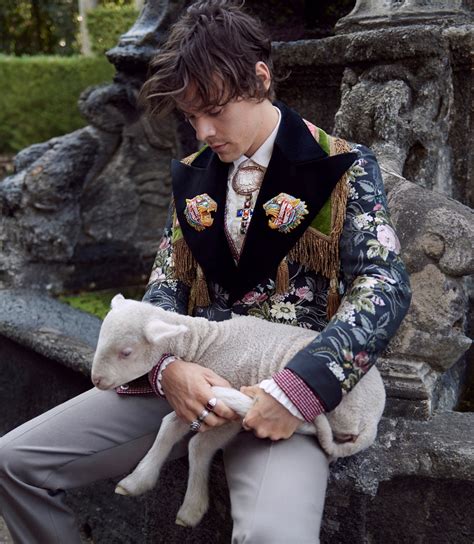 harry styles gucci photoshoot 2019|harry styles gucci 2021.